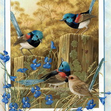 Оригинал схемы вышивки «Птицы» (№321967)