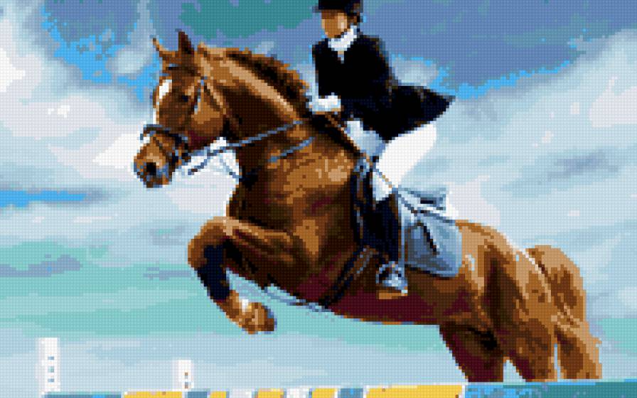 прыжок - лошади, конный спорт, конь, конкур - предпросмотр