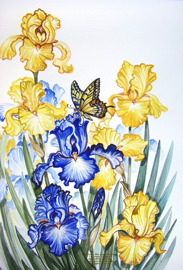 Ирисы и бабочка - красота, бабочки, весна, ирисы, весенние цветы, ирис, бабочка - оригинал
