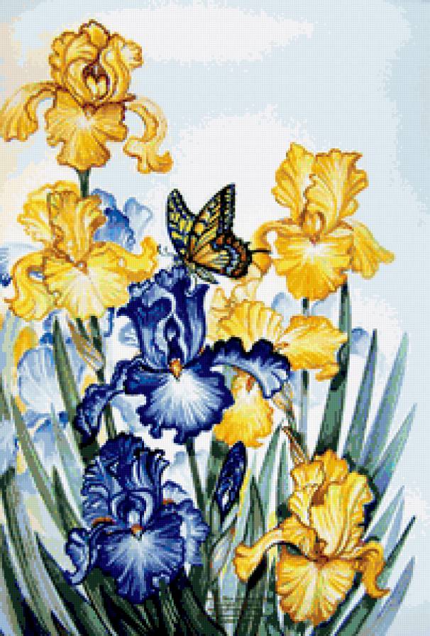 Ирисы и бабочка - бабочка, бабочки, весна, красота, весенние цветы, ирис, ирисы - предпросмотр