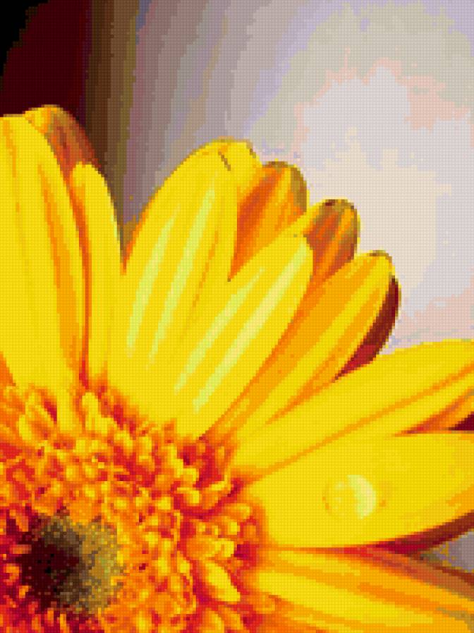 подсолнух - цветы - предпросмотр