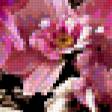 Предпросмотр схемы вышивки «цветы» (№322846)