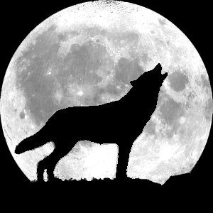 Волк - луна, волк - оригинал