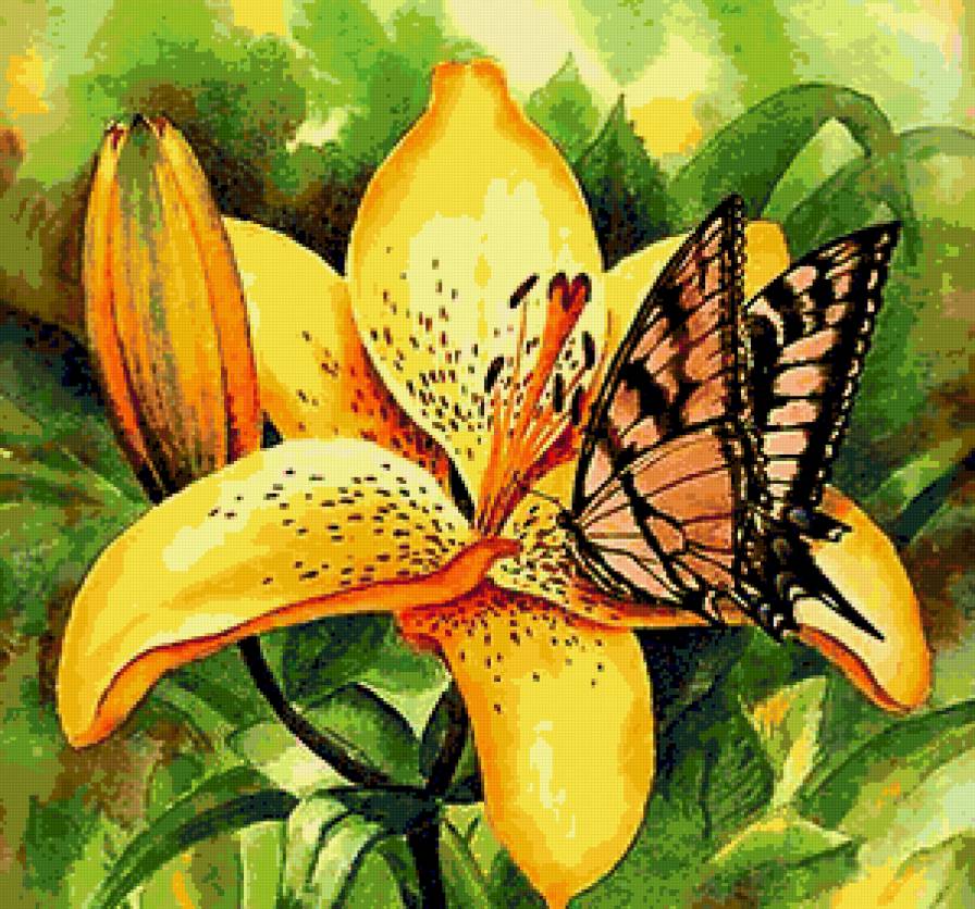Бабочка на лилии - лилия, красота, природа, лилии, лето, цветы, бабочка, бабочки - предпросмотр