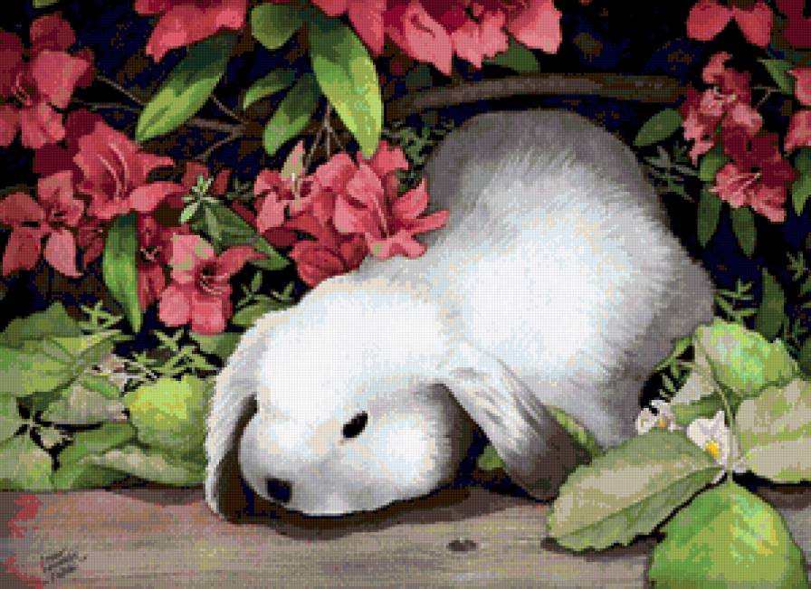 Зайчонок - зайка, цветы, зайчонок, природа, животные, зайчик, зверушки - предпросмотр