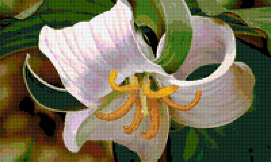 Нежная лилия - лепестки, флора.белые цветы, природа, цветы - предпросмотр