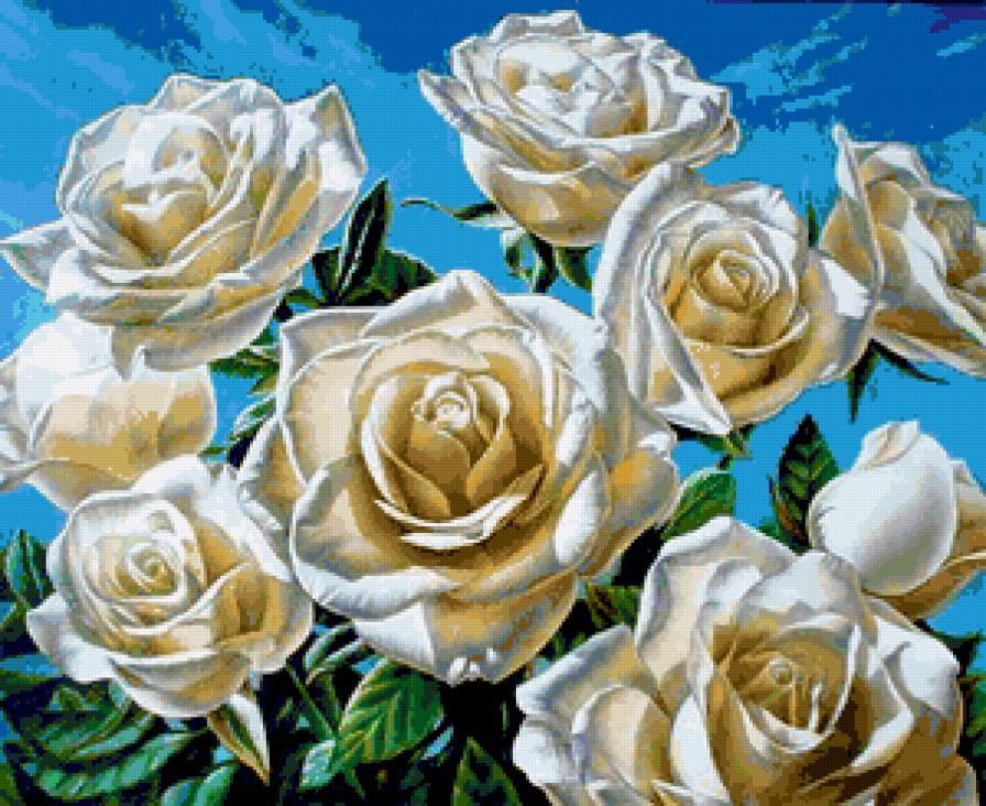 Белая роза - природа, цветы, флора.белые цветы.розы, лепестки - предпросмотр
