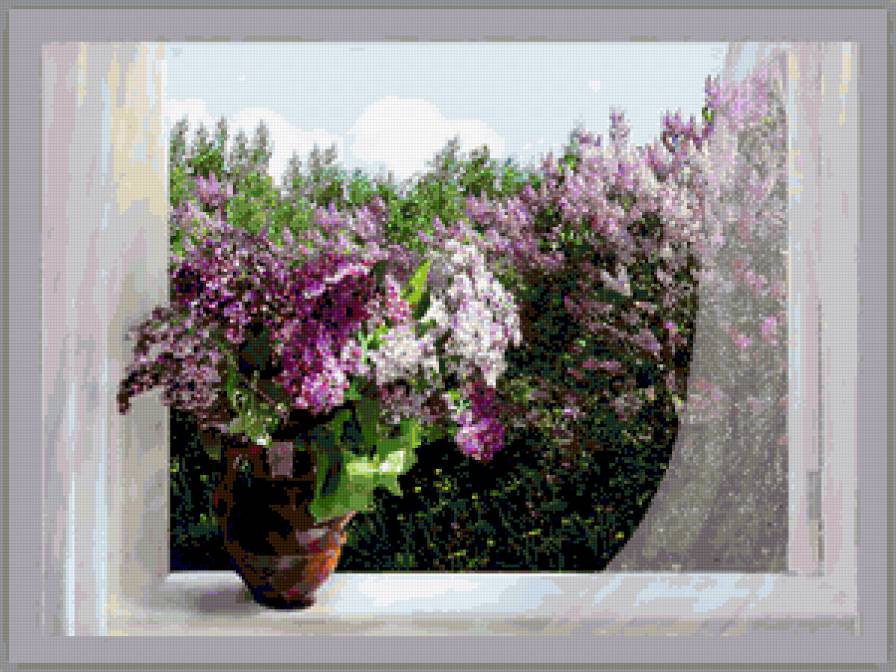 №323848 - букет, натюрморт, пейзаж, окно, цветы, сирень - предпросмотр