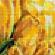 Предпросмотр схемы вышивки «желтые тюльпаны» (№323878)