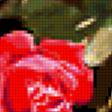Предпросмотр схемы вышивки «красные розы» (№323880)