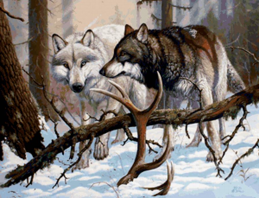 волки - животные, зима, волк, лес, природа - предпросмотр