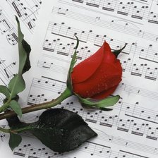 Схема вышивки «роза на нотах»