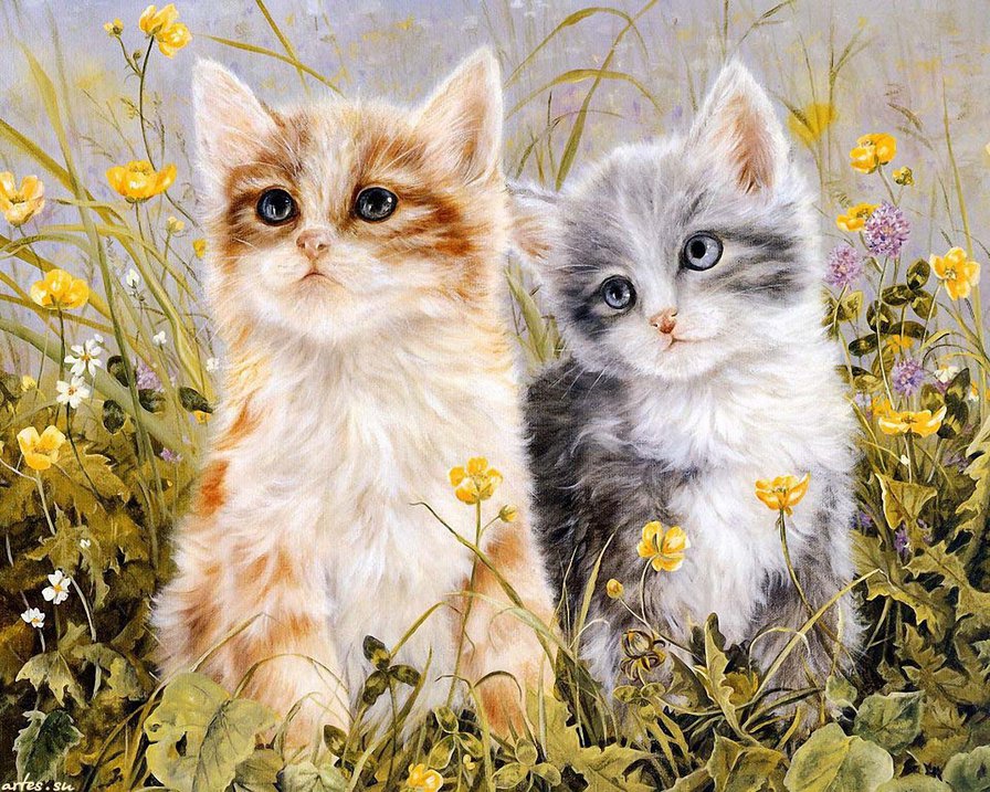 кошки - цветы, картинка, котята - оригинал