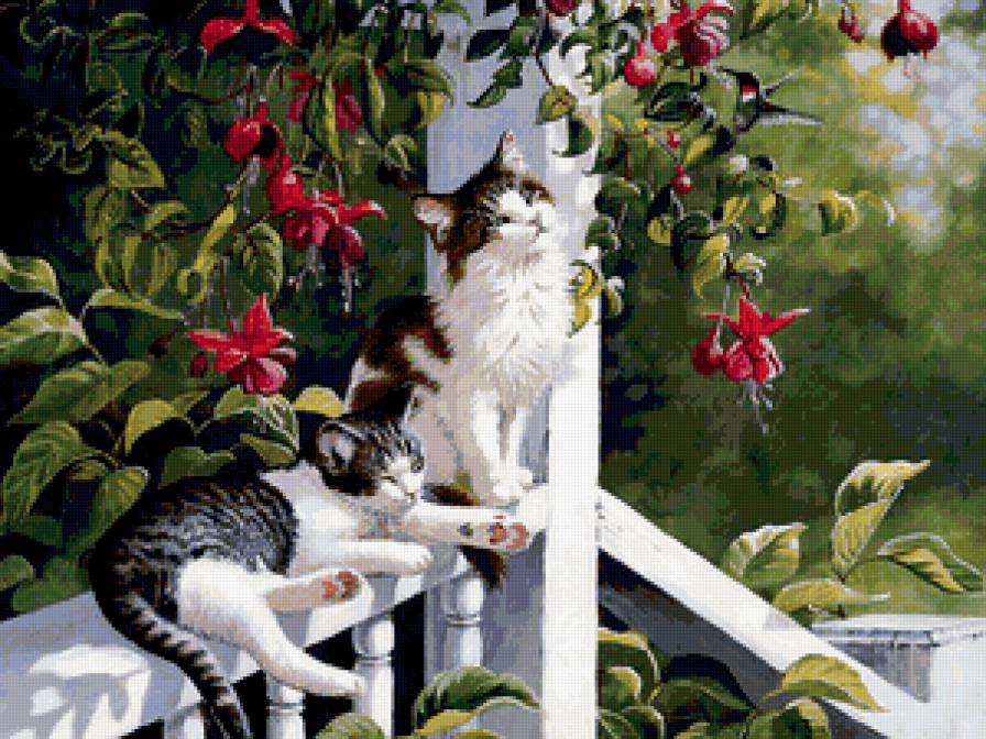кошки - цветы, кошки, картинка - предпросмотр