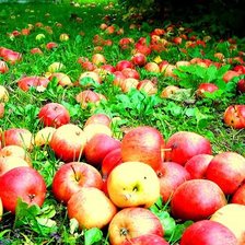 Схема вышивки «яблочный спас»