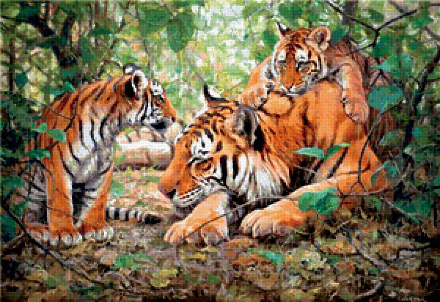 идилия - тигр, лето, хищник, природа - предпросмотр