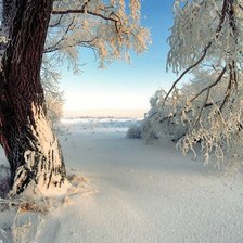 Схема вышивки «ЗИМА»