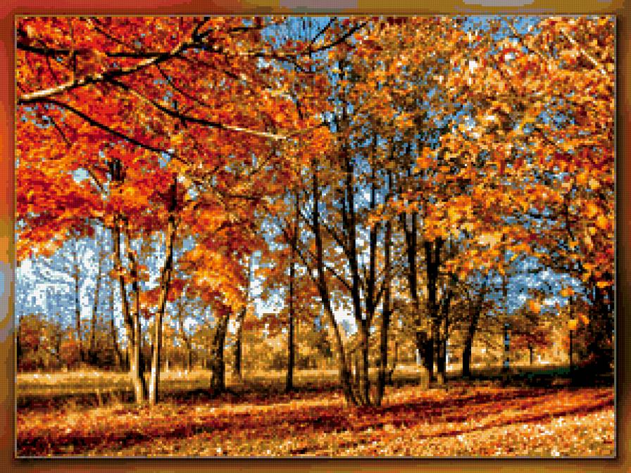 осень - пейзаж, деревья, осень, природа - предпросмотр