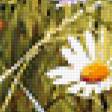 Предпросмотр схемы вышивки «луговые цветы» (№329083)