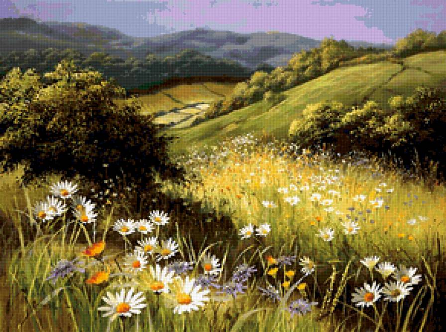 луговые цветы - природа, поле, лето - предпросмотр