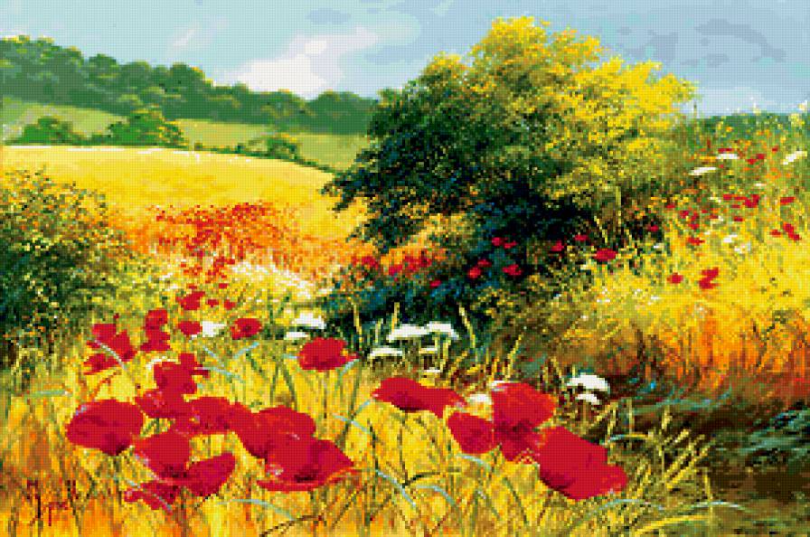 луговые цветы - природа, поле, лето, маки - предпросмотр
