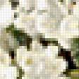 Предпросмотр схемы вышивки «Белые цветы» (№329246)