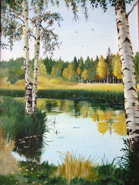 Русские берёзки - пейзаж, река, березки, деревья, лето, лес, природа, березы - оригинал