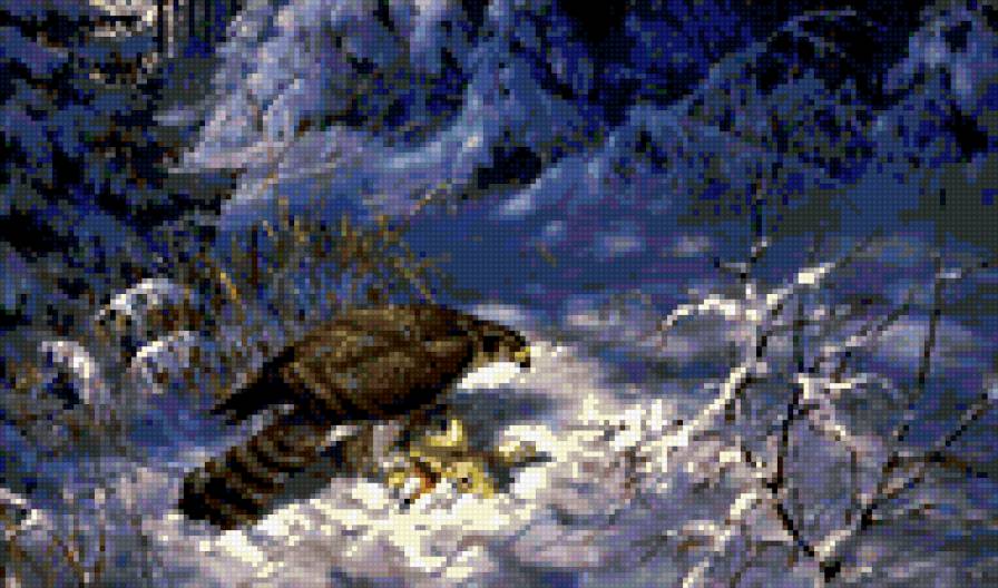 0088 - красота, орел, картина, природа, зима, птицы - предпросмотр