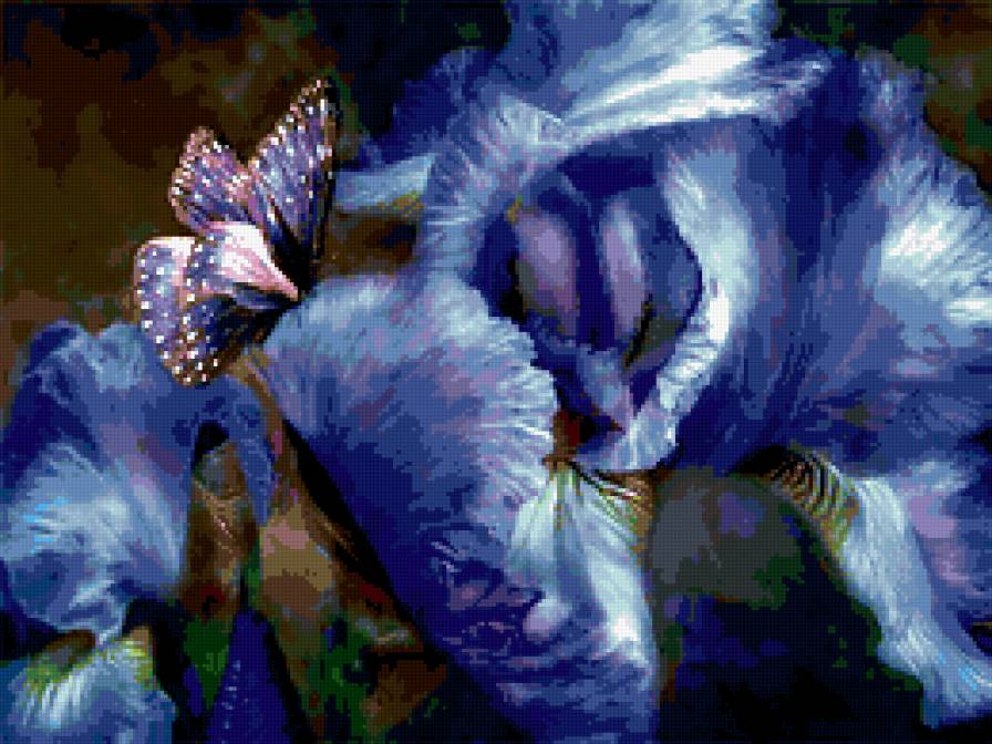 ирис - бабочка, цветок, ирис - предпросмотр