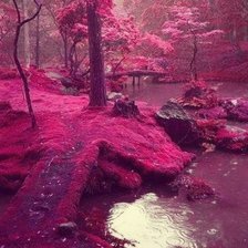 Схема вышивки «розовый лес»