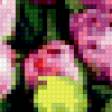 Предпросмотр схемы вышивки «Тюльпаны» (№331616)