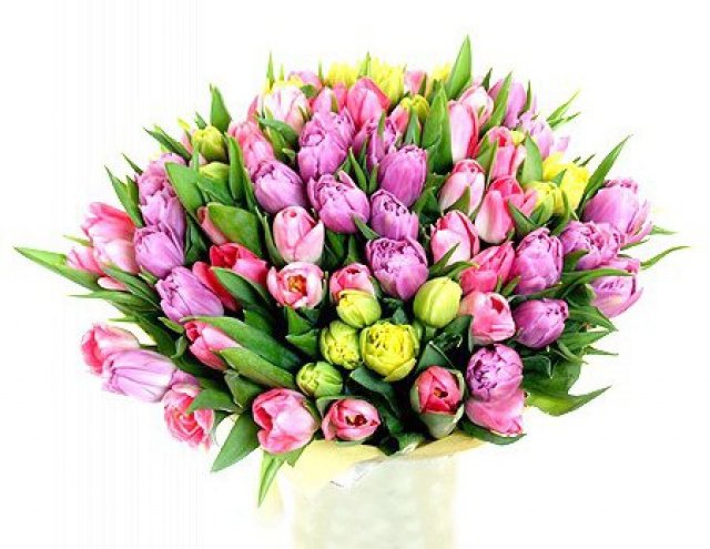 Тюльпаны - тюльпаны, цветы, букет, весна - оригинал