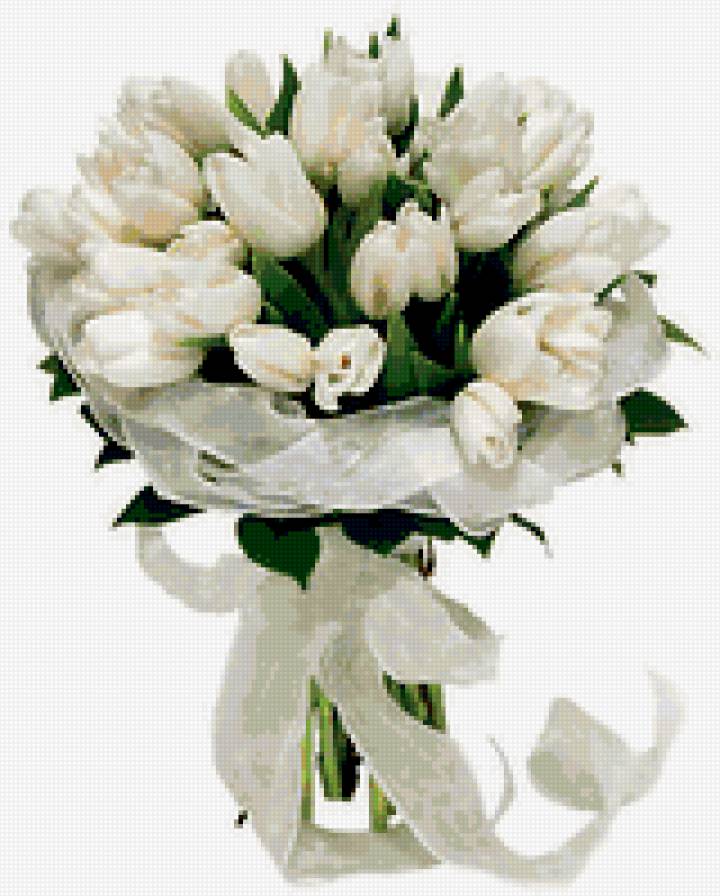 Тюльпаны белые - цветы, весна, букет, тюльпаны - предпросмотр