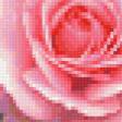 Предпросмотр схемы вышивки «розы» (№332452)