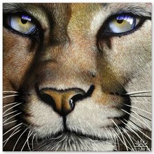 Схема вышивки «взгляд льва»
