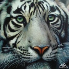 Схема вышивки «взгляд тигра»