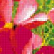Предпросмотр схемы вышивки «луговые цветы» (№333030)