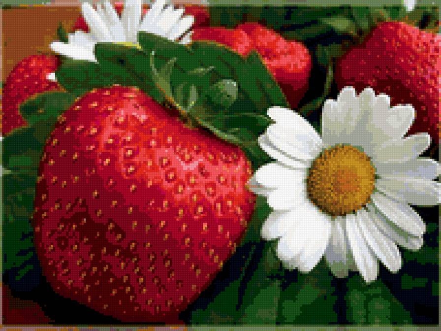 клубника и ромашка - ромашка, цветы, фрукты, ягоды, клубника - предпросмотр