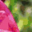 Предпросмотр схемы вышивки «тюльпаны» (№333469)