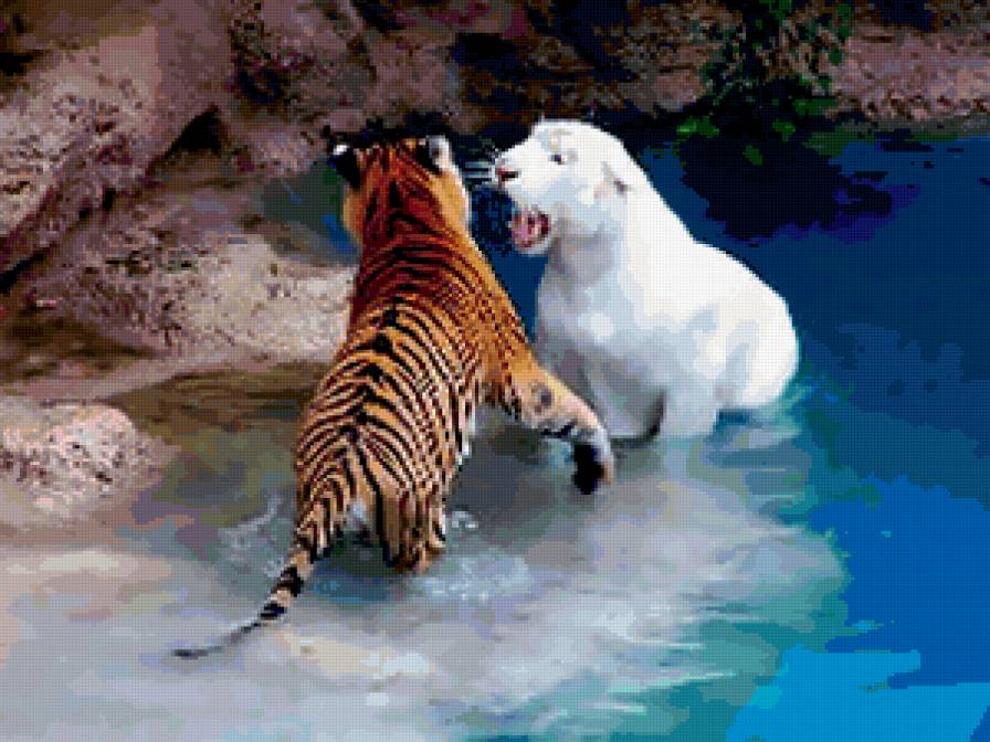 два тигра - вода, горы.тигры - предпросмотр