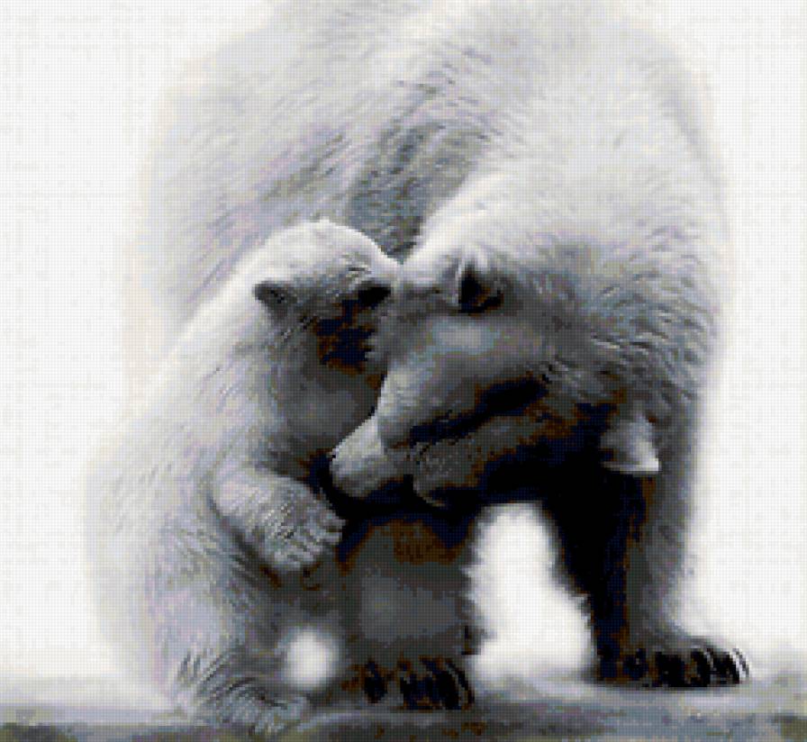 Белые мишки. - медведи, семья, нежность, умка, белые - предпросмотр