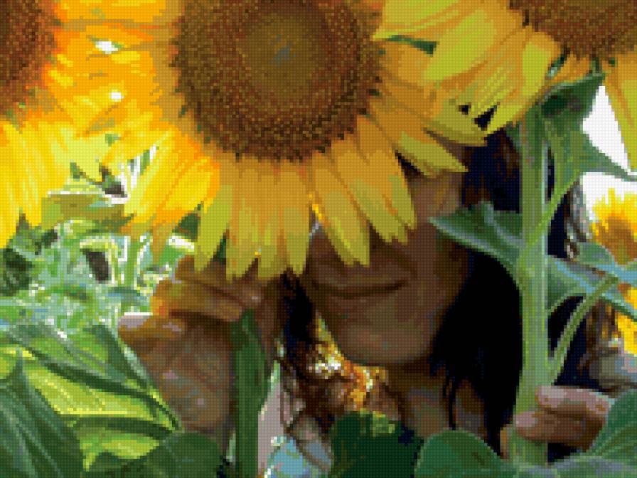 девушка в подсолнухах - подушка, подсолнухи, цветы, панно - предпросмотр