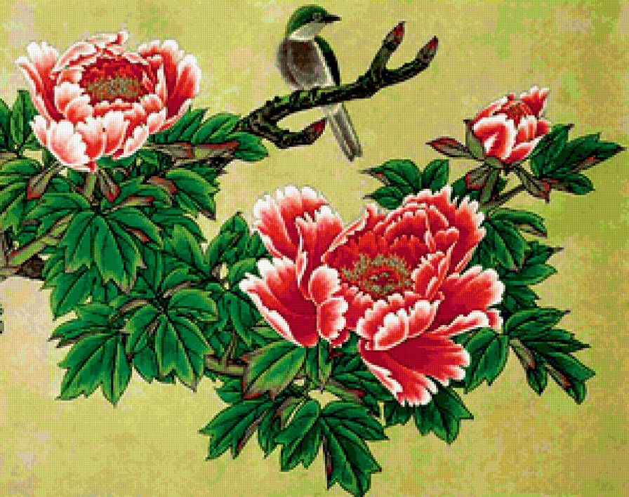 китайский древесный пион и птица - пион, цветы, восток, живопись, птицы - предпросмотр