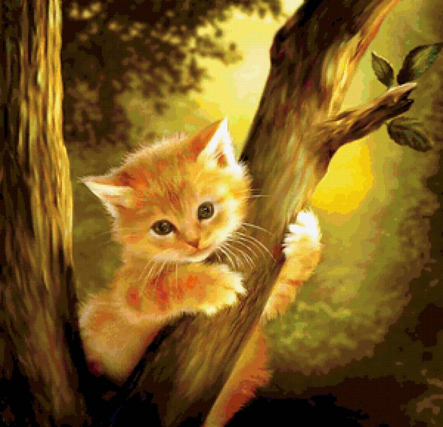 рыжик в беде - лапушка, кот, милашка, котенок, дерево - предпросмотр