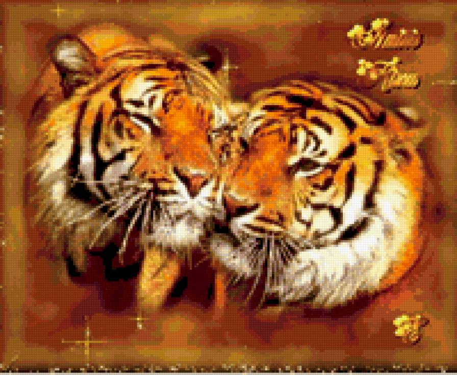Пара тигров - тигры - предпросмотр