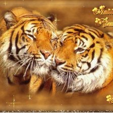 Оригинал схемы вышивки «Пара тигров» (№334671)