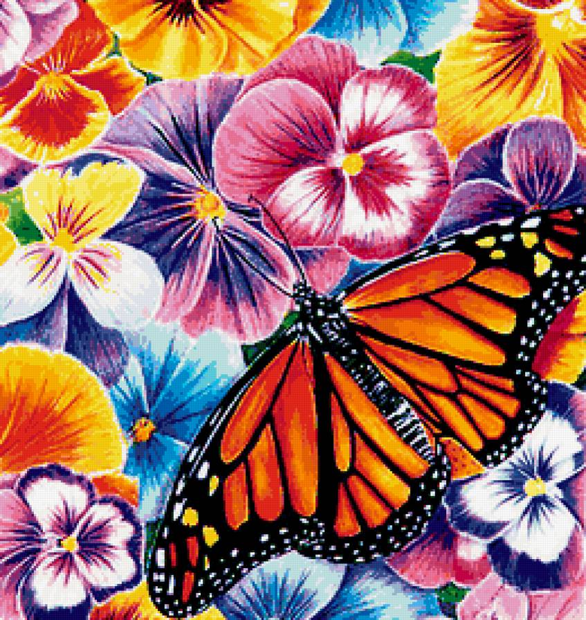 Бабочка - цветы, бабочка, анютки - предпросмотр