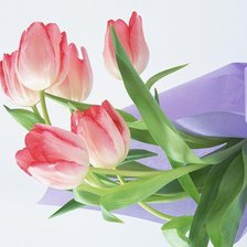 Оригинал схемы вышивки «тюльпаны» (№335188)