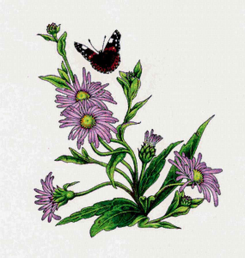 №335219 - цветы, бабочки, насекомые, подушка, бабочка - предпросмотр