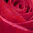Предпросмотр схемы вышивки «роза» (№335307)